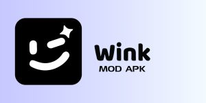 Wink Mod APK video retouching tool